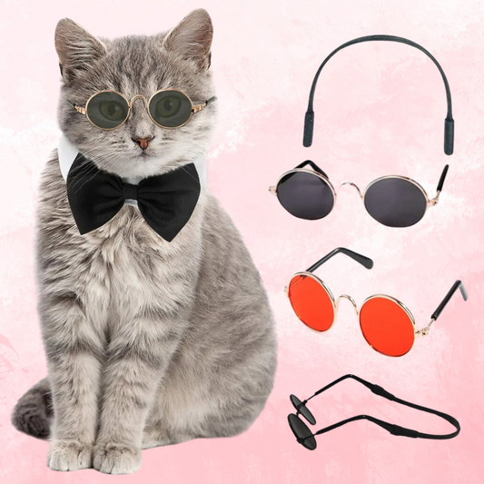 Cat Glasses